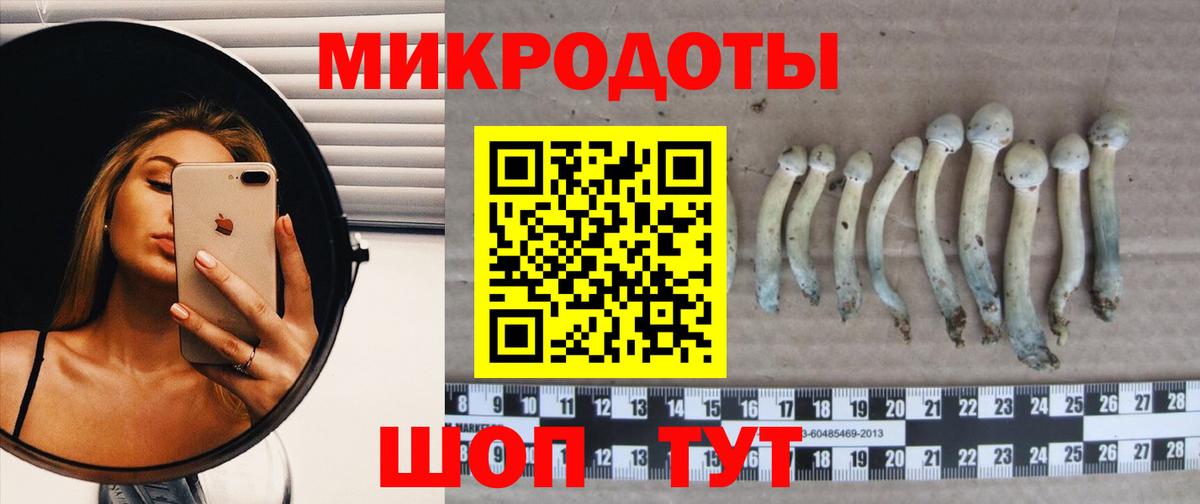 Галлюциногенные грибы GOLDEN TEACHER  Галлюциногенные грибы Psilocybe  Вход с VPN  Красный Сулин 
